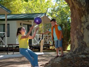 Ball Park Caravan Park