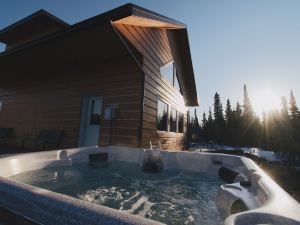 Denali Wild Stay