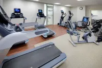 Embassy Suites by Hilton Detroit Troy Auburn Hills - Gym