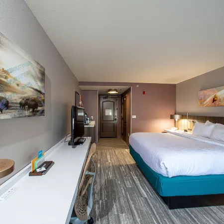 Hilton Garden Inn Rapid City