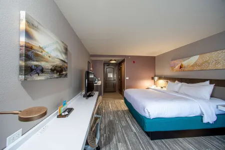 Hilton Garden Inn Rapid City