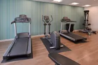 Holiday Inn Express & Suites OMAHA - 120TH AND MAPLE by IHG - Gym