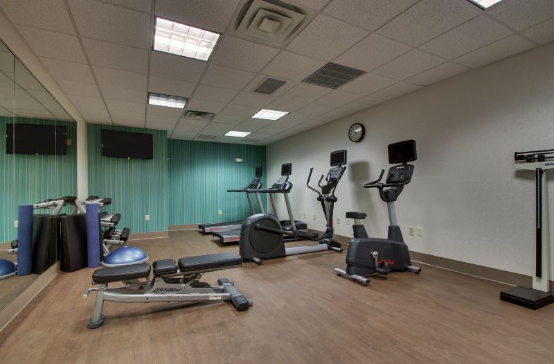 Holiday Inn Express & Suites Morris by IHG photo 4