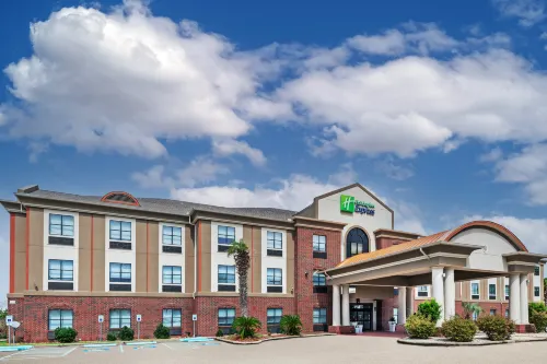 Holiday Inn Express & Suites VIDOR SOUTH by IHG