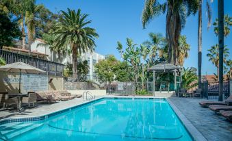 a large swimming pool surrounded by palm trees , with several lounge chairs and umbrellas placed around the pool area at Catalina Canyon Inn