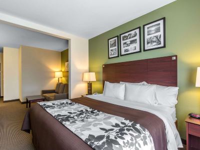 Sleep Inn & Suites Bush InterContinental - IAH East