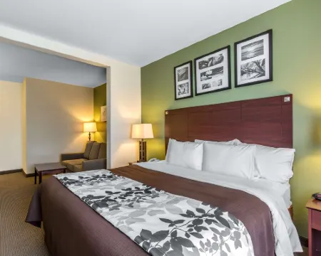 Sleep Inn & Suites Bush InterContinental - IAH East Hotels in Humble