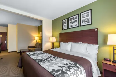 Sleep Inn & Suites Bush InterContinental - IAH East Hotels in Harris County