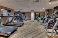 Drury Plaza Hotel Milwaukee Downtown - Gym