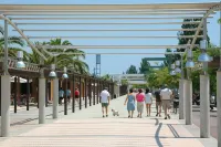 Htop Summer Sun