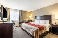 Comfort Inn Hotels in Delta Center Township
