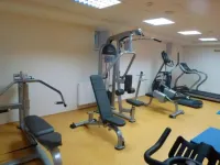 Wellness Resort Energetic - Gym