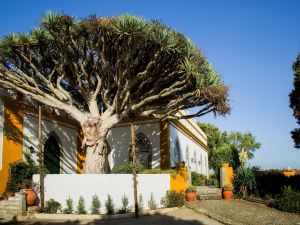 Casa do Castelo