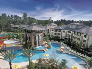 The Woodlands® Resort, Curio Collection by Hilton