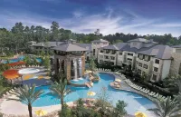 The Woodlands® Resort, Curio Collection by Hilton - Beach