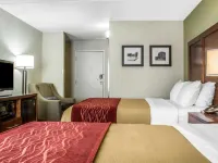 Clarion Pointe Jamestown - Falconer - Barer