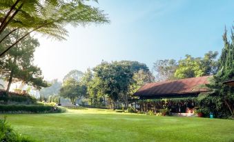 a lush green lawn surrounded by trees , with a gazebo in the background , creating a serene atmosphere at Horison Green Forest Bandung