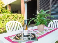 Bilo Standard Garden - piscina