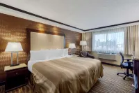 Best Western Plus Edmonton Airport Hotel Hotels in Leduc