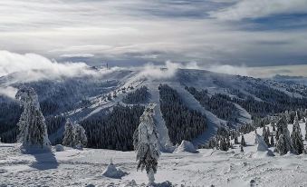 Hotel Djina - Kopaonik