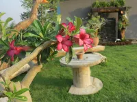 SP Resort - Wichian Buri, Phetchabun Hotels in 