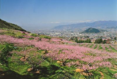 ホテル周辺 滞在型温泉コンドミニアム石和セントラルの写真
