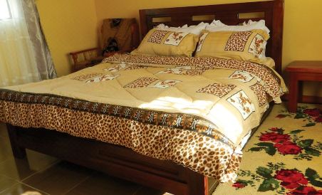 Mount Kenya Ecocamp & Villas - Housity