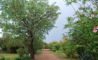 Bhedu Berry Lodge