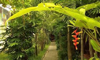 Bedhots Homestay - Housity