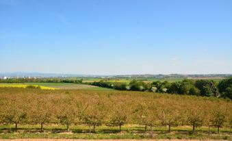 Weingut Bugner Meizelhof