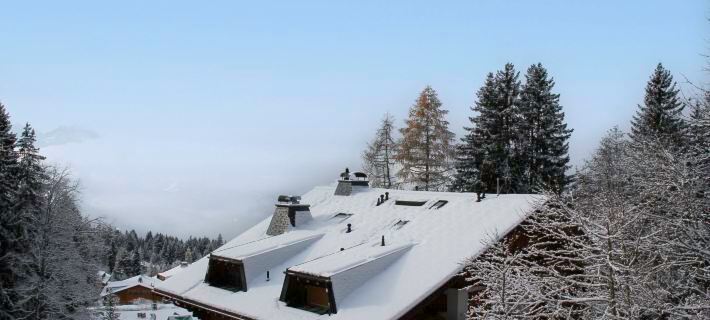 Muscardin 5/6 Hotels in Aigle