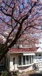 Aji No Irodori Shuyaku wa Kinmedai Oyado Hananoki Hotels near Imaihama-Kaigan Station