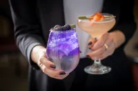 Kimpton EPIC HOTEL by IHG - 5-Star