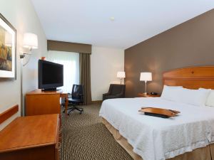 Hampton Inn Decatur/Forsyth