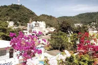 Vive la Zona Romntica En Puerto Vallarta