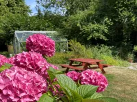 "Elvin" - 2.7km from the Sea