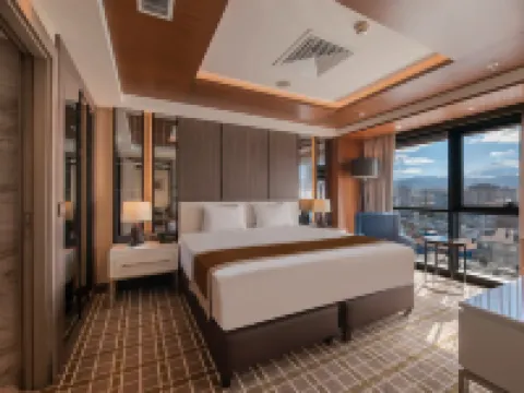 Holiday Inn Kayseri-Düvenönü Kayseri otelleri