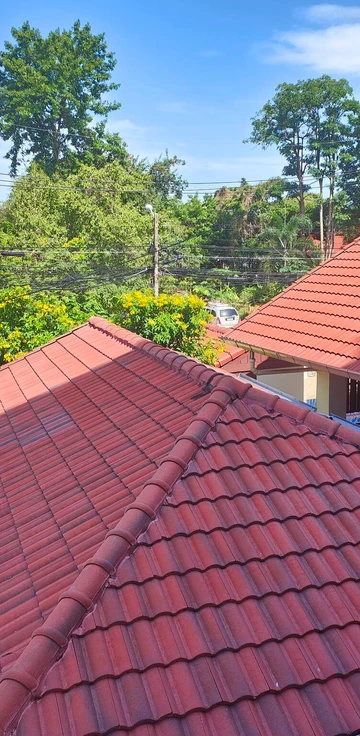 รูปภาพของบิ๊กอพาร์ทเม้นท์ 101 80 ตรม.