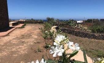 I Dammusini di Pantelleria