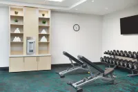 TownePlace Suites Toronto Oakville - Gym