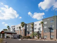 Courtyard Phoenix West/Avondale Hotels near Camelback Ranch