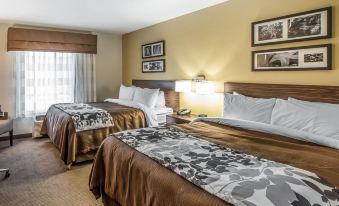 Quality Inn Decatur River City