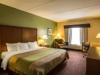 Comfort Inn Asheville Airport Hotels in Arden