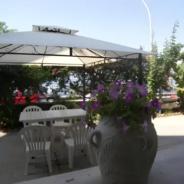 Oasis