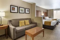 Comfort Suites Coralville I-80 Hotels in Johnson County