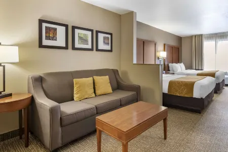 Comfort Suites Coralville I-80 Отели в г. Johnson County