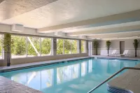 Marriott Sanibel Harbour Resort & Spa - Uima-altaat