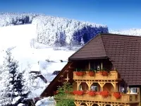 Hotel Hirschen Hotels in Schluchsee