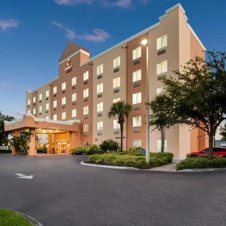 Comfort Suites Tampa Airport North Отели рядом с достопримечательностью «Зоопарк Лоури»