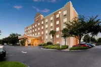Comfort Suites Tampa Airport North Các khách sạn ở Citrus Park